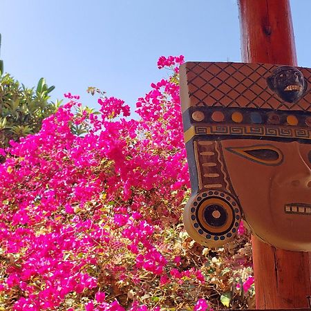 La Fortaleza Del Inca Lunahuaná Kültér fotó